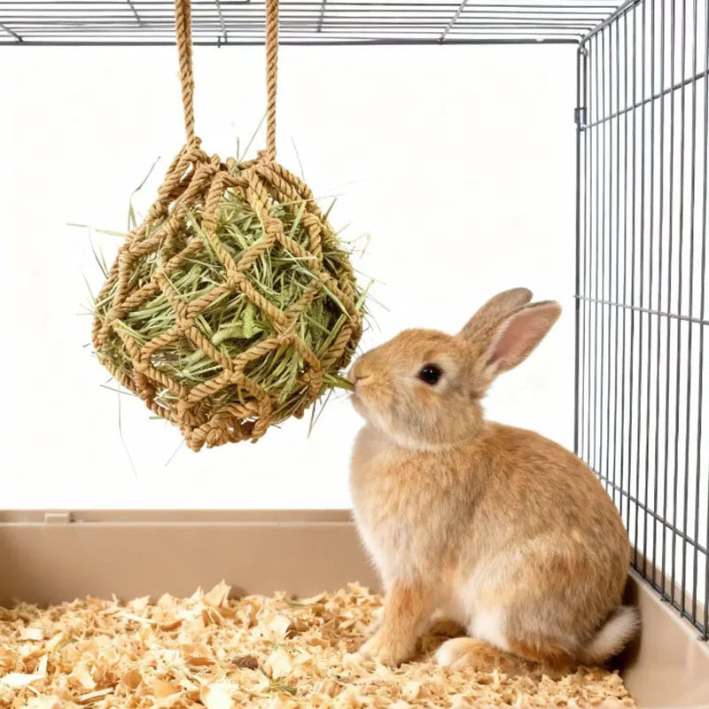 Hanging hay ball feeder for rabbits, guinea pigs, and chinchillas from Burrowly.
