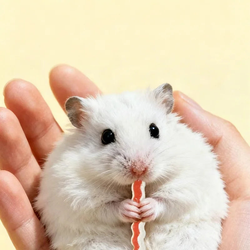 Pet Teeth Grinding Toy Set, Hamster, Totoro, Rabbit, Guinea Pig, Special Bite and Soothing Supplies