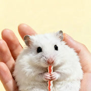 Pet Teeth Grinding Toy Set, Hamster, Totoro, Rabbit, Guinea Pig, Special Bite and Soothing Supplies