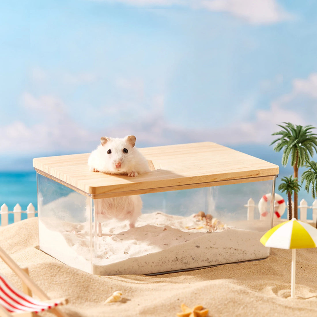 Clear hamster sand bath house for cleaner small pet habitat routines from Burrowly.