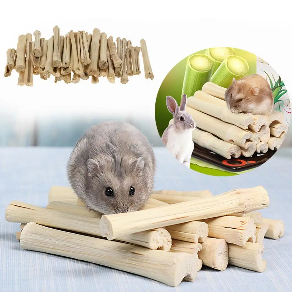 All Natural Bamboo Chew Sticks Rabbit Chew Toy Small Animal Snacks for Hay