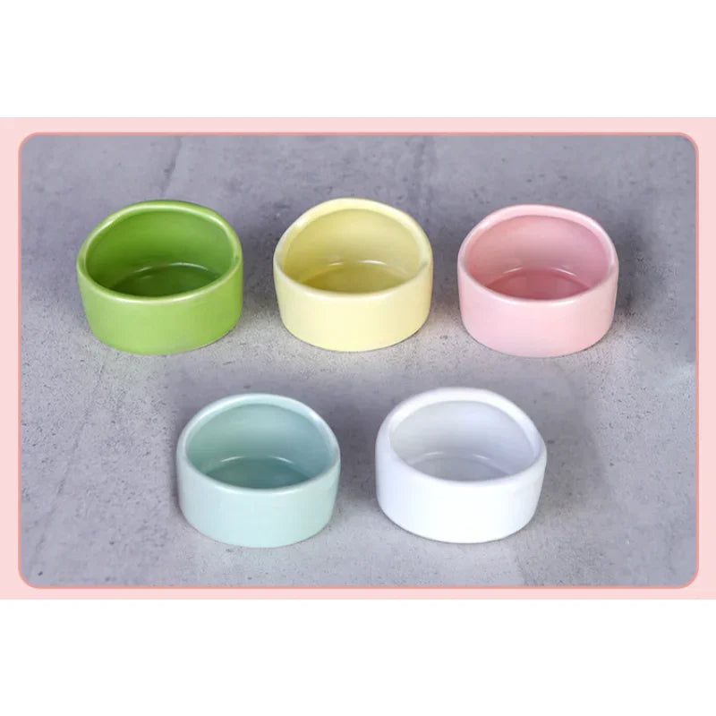 Heavy Ceramic Food Dish for Small Animals