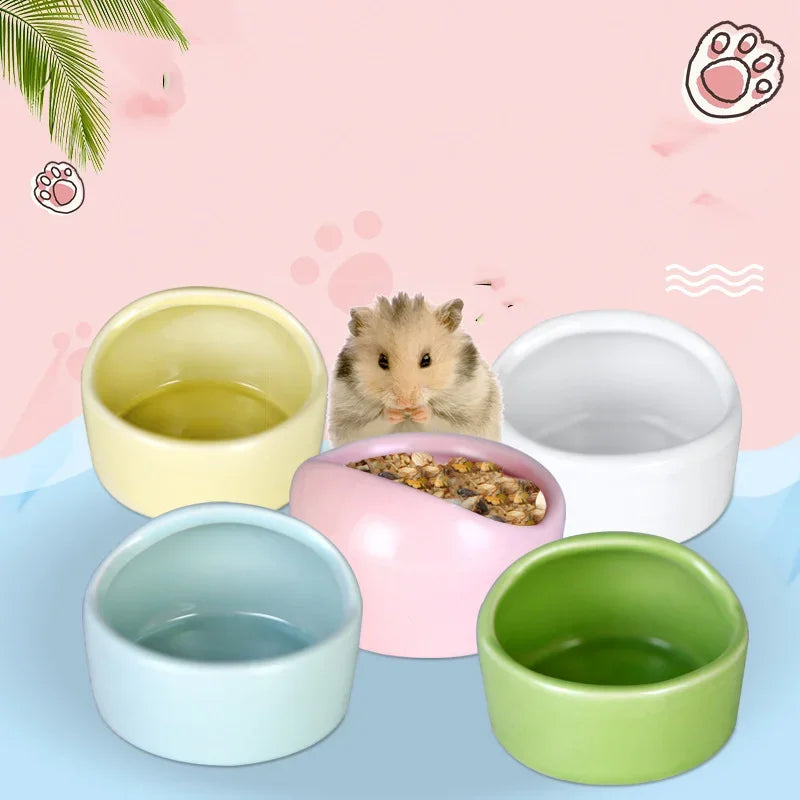 Anti-tip ceramic bowl for small pet feeding from Burrowly.