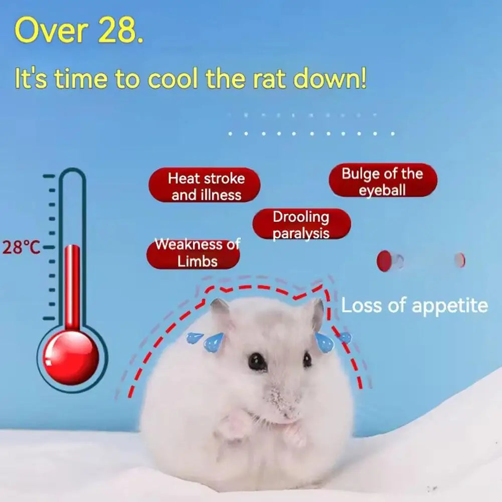 2-in-1 Winter Warm & Summer Cool Hamster House | Small Pet Nest for Sugar Glider, Hedgehog, Cozy Cage Hideout