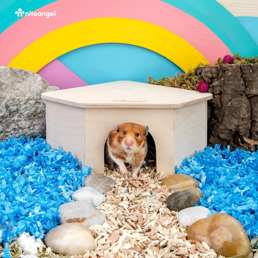 Birch Chamber-Maze Hamster Hideout - Woodland House Habitat for Hamsters, Mice, Gerbils