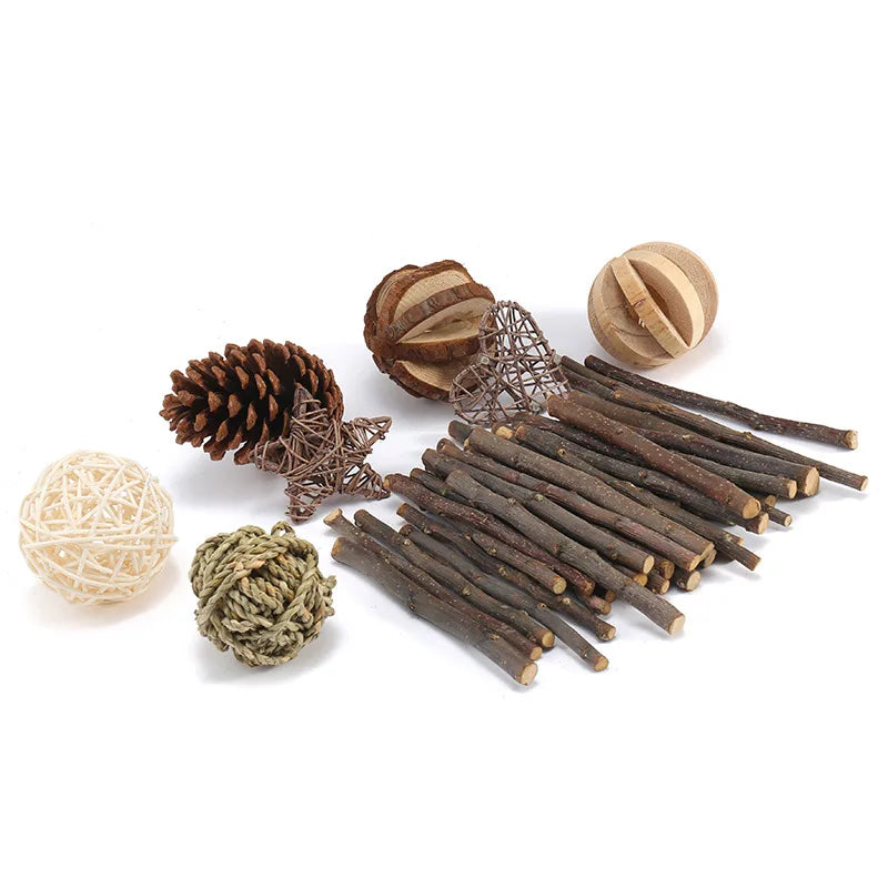 Small Pet Chew Toy Variety Set for guinea pigs, rabbits, hamsters, and rats from Burrowly small pet supplies.