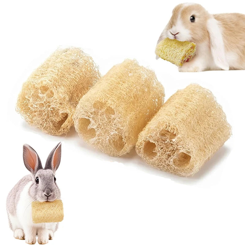 2pcs Rabbit Chew Toys Natural Loofah Bunny Chew Toys for Teeth Cleaning for Burrowly chews and small pet care.