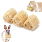 2pcs Rabbit Chew Toys Natural Loofah Bunny Chew Toys for Teeth Cleaning for Burrowly chews and small pet care.