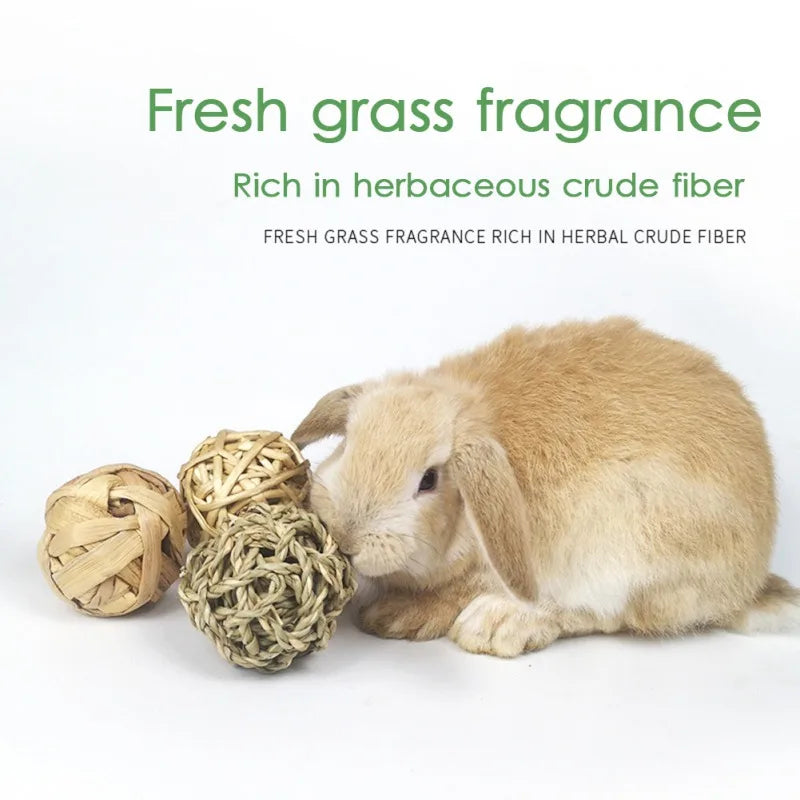 Grass Ball Chew Toy Set for Rabbits and Guinea Pigs for rabbits, guinea pigs, hamsters, and chinchillas from Burrowly small pet supplies.