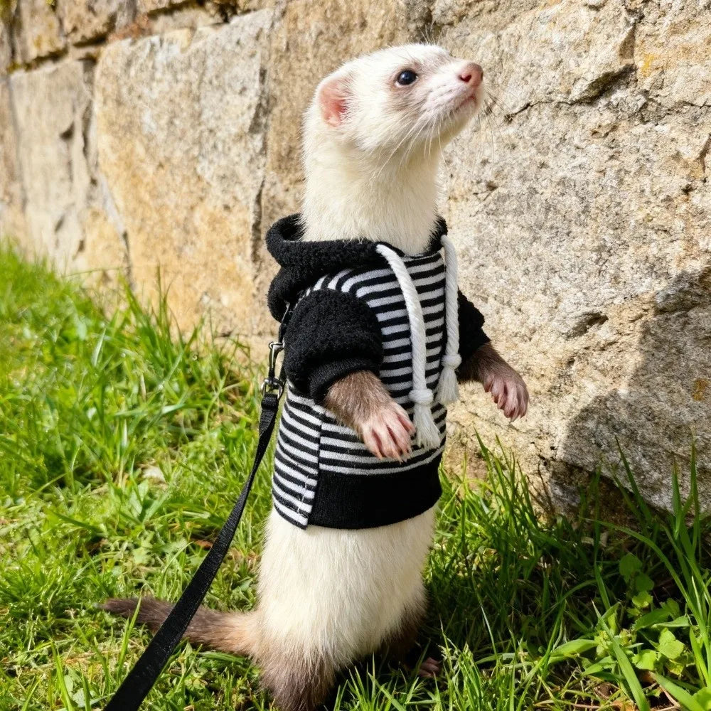 Elastic Ferret Hoodie Thick Fleece Cozy Pet Striped Sweatshirt Stylish Drawstring Soft Hamster Coat for Hamster Lizard Squirrel