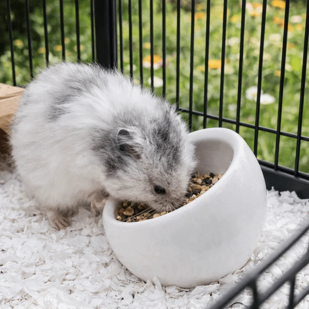 Slanted anti-spill ceramic bowl for hamsters and small pets that need a stable feeding dish. for Burrowly small pet care.
