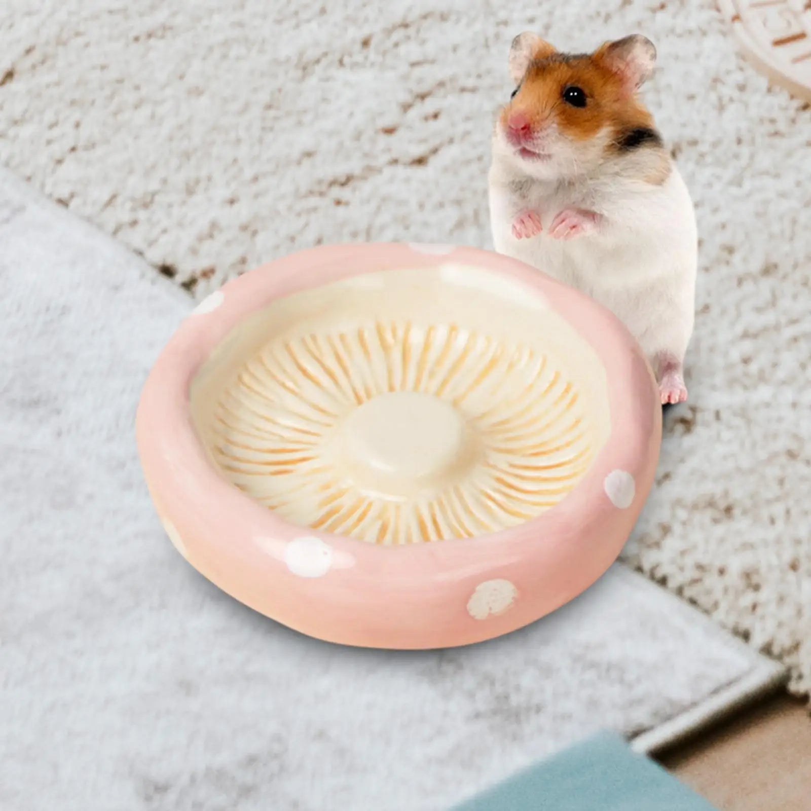 Ceramic Food Water Bowl Anti-tip Feeding Dish Durable Pet Drink Bowl for Hamster Chinchilla Ferret Small Pet Feeding Supplies