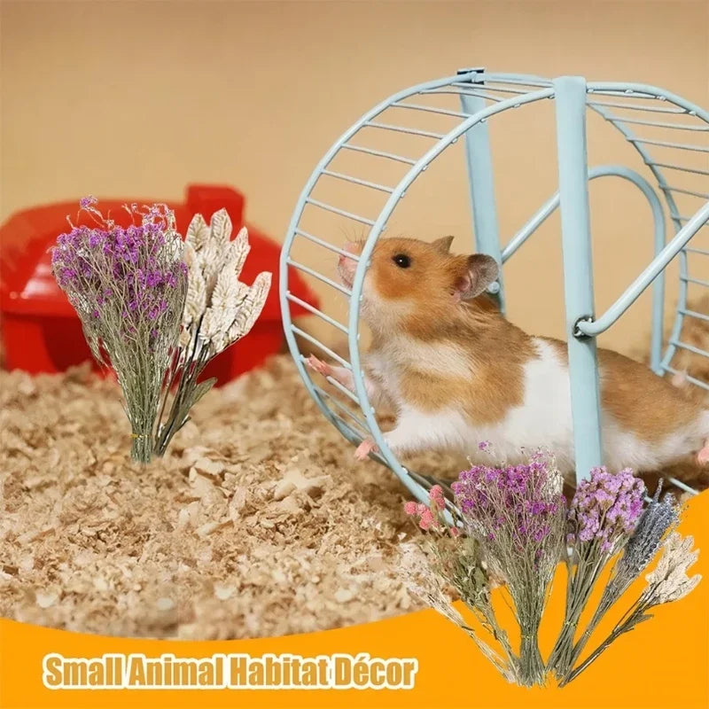 Handcrafted Hamster Cage Decors Dried Flower Bedding Promotes Natural Foraging Behavior Y5GB