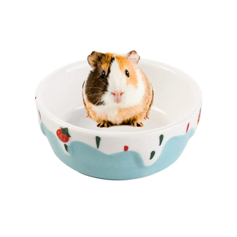 Ceramic Food and Water Dish for Gerbils and Chinchillas