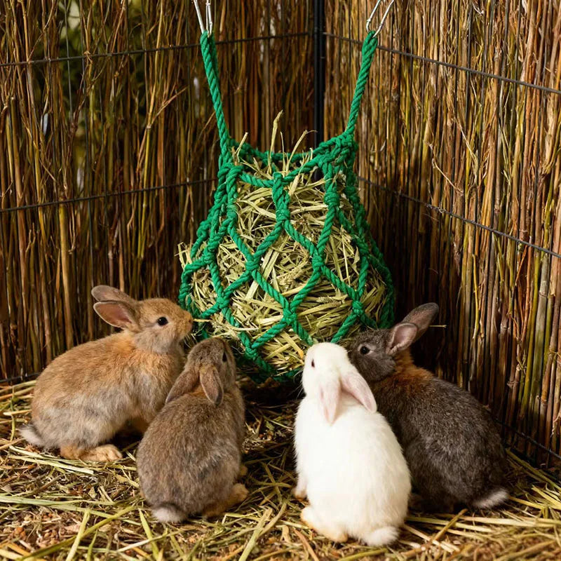 Hanging hay ball feeder for rabbits, guinea pigs, and chinchillas from Burrowly.