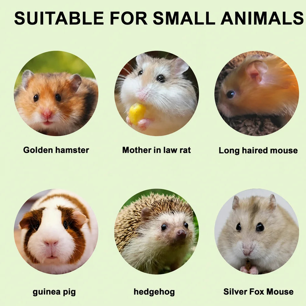 Hamster Bath Dust Sand Deodorizing Urine Sand for Chinchilla Gerbil Small Pet ToiletOdor Control Bedding Soft Safe Natural