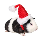 Kitty Rainbow Hamster Head Accessories Party Supplies Small Animals Cat Hat Pet Christmas Hat Costume Decor Santa Claus Cap