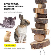 Natural wood chew sticks for hamster, rabbit, guinea pig, and chinchilla enrichment from Burrowly.