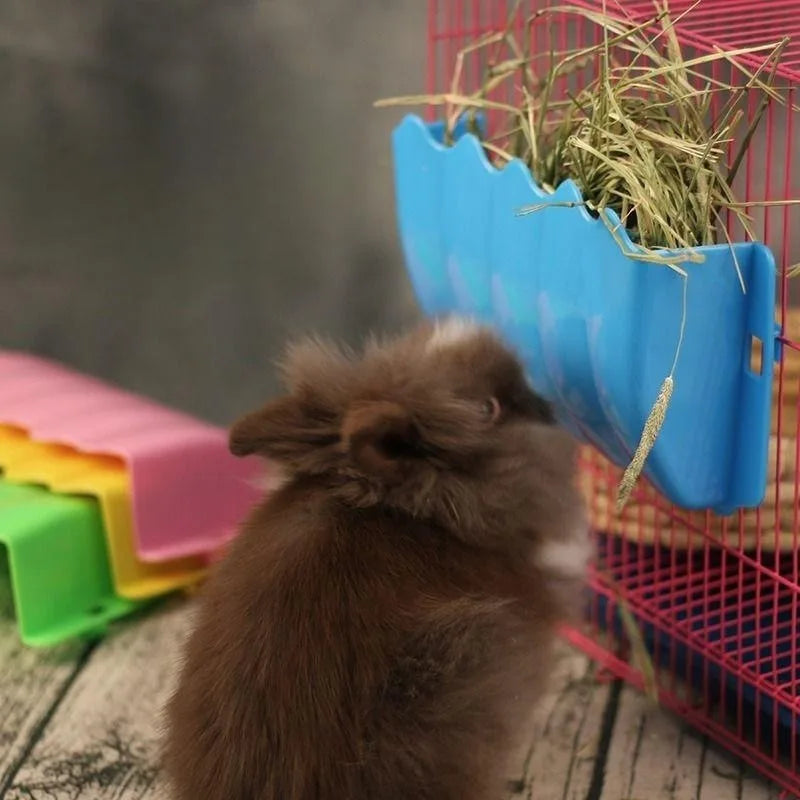 Hanging hay and food feeder for rabbit and guinea pig habitats from Burrowly.