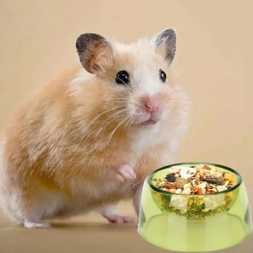 Bite Resistant Hamster Food Basin Non-slip Plastic Rat Food Water Dish Transparent Hamster Water Bowl
