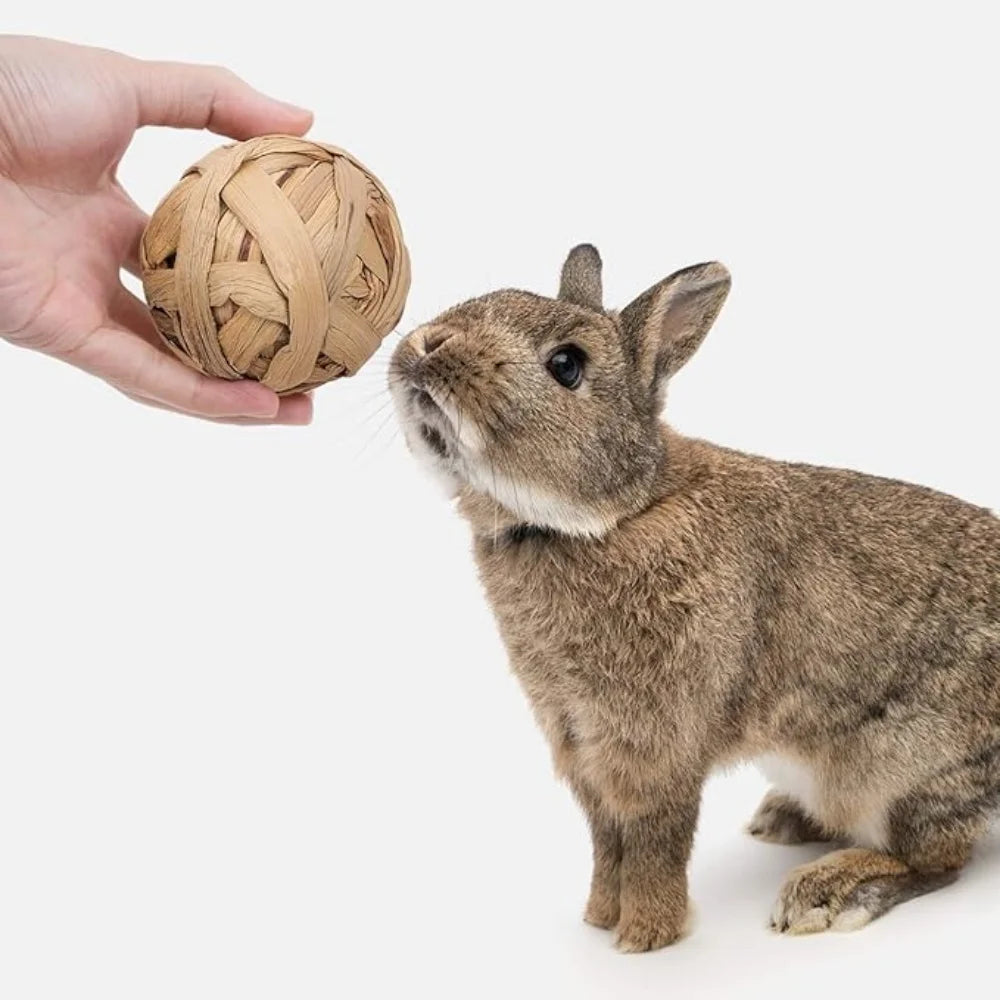 Natural Hay Grass Chew Ball Toy for rabbits, guinea pigs, hamsters, and chinchillas from Burrowly small pet supplies.