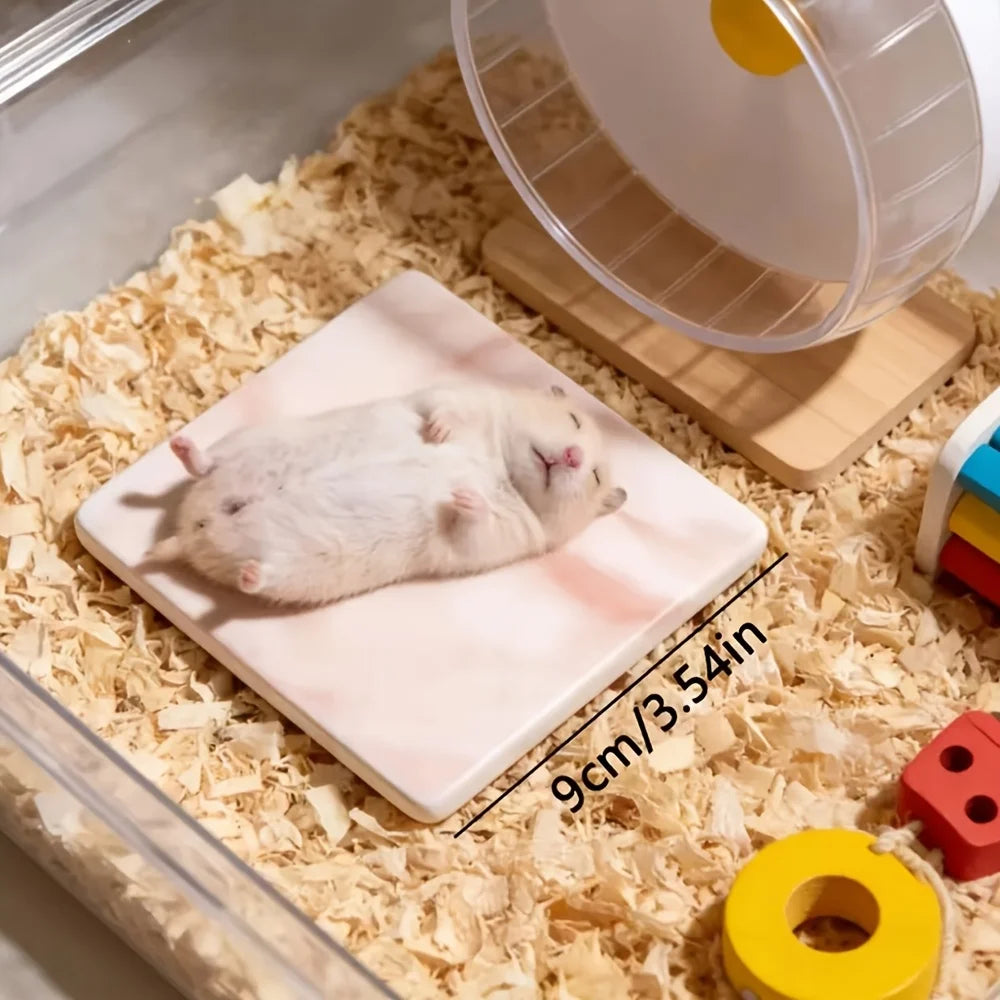 Square/Round Hamster Cooling Pad Chew-proof and Tip-resistant Cooling Mat Cooling Pad for Hamsters Small Pet Easy To Clean