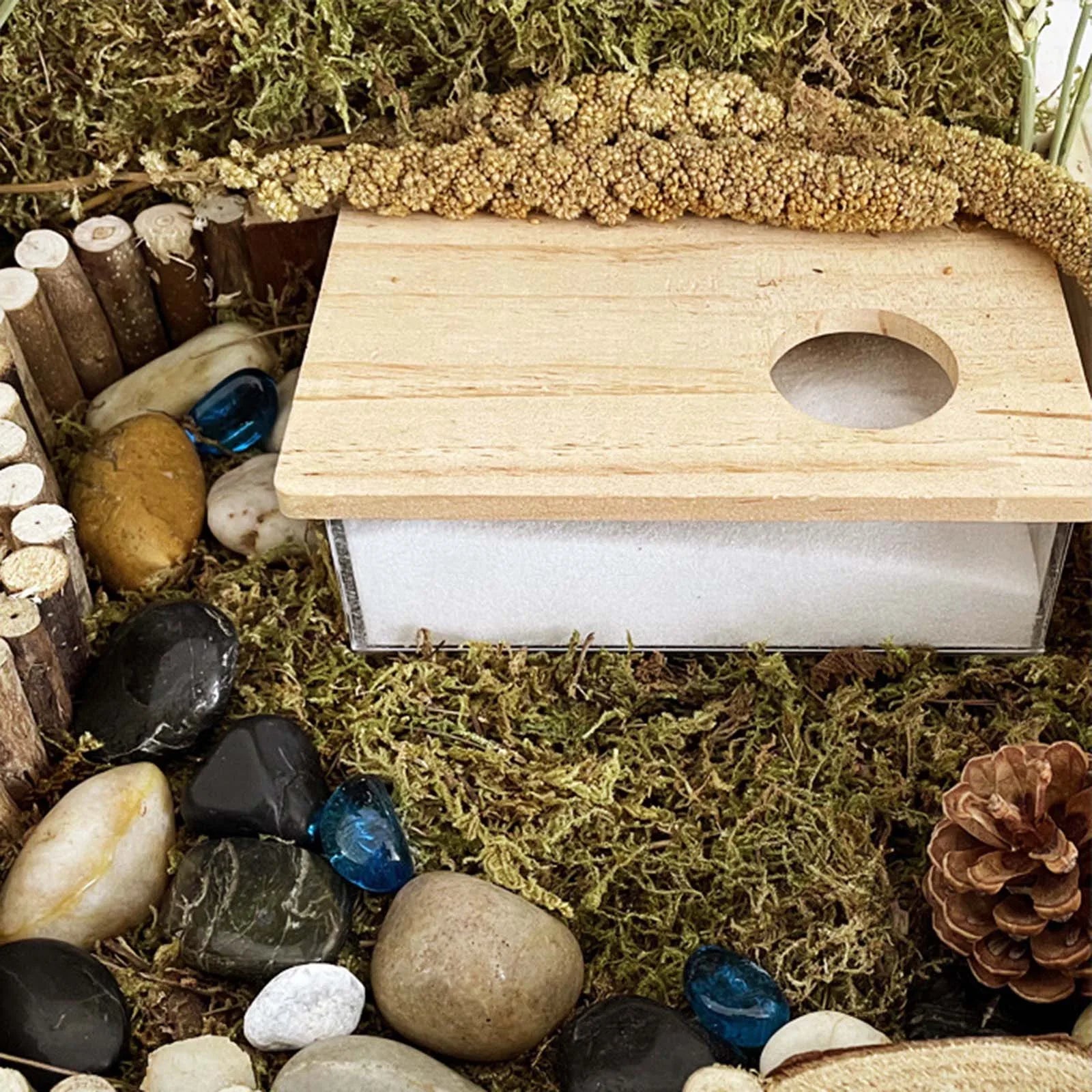 Clear hamster sand bath house for cleaner small pet habitat routines from Burrowly.