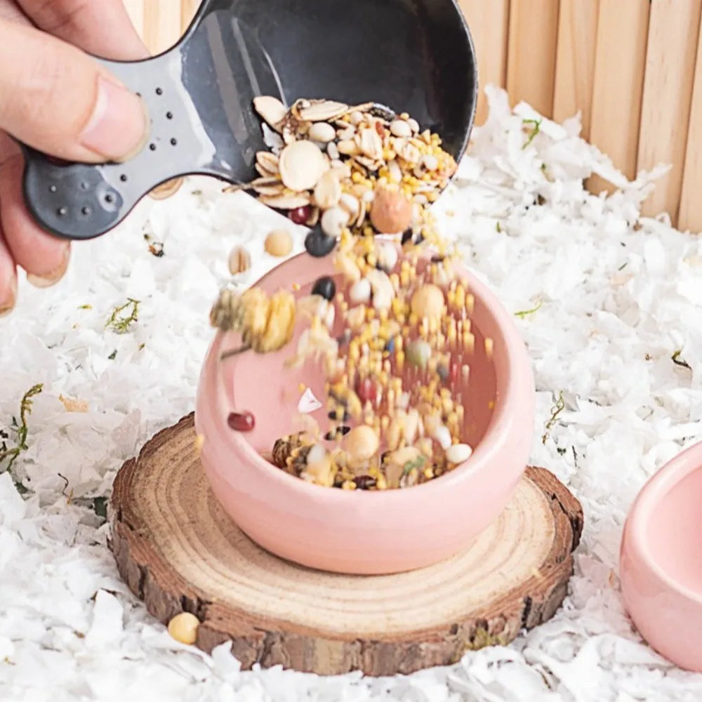 Slanted Anti-Spill Ceramic Hamster Bowl