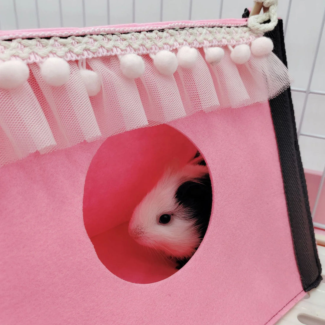 Foldable guinea pig hideout tunnel for cozy small pet play from Burrowly.