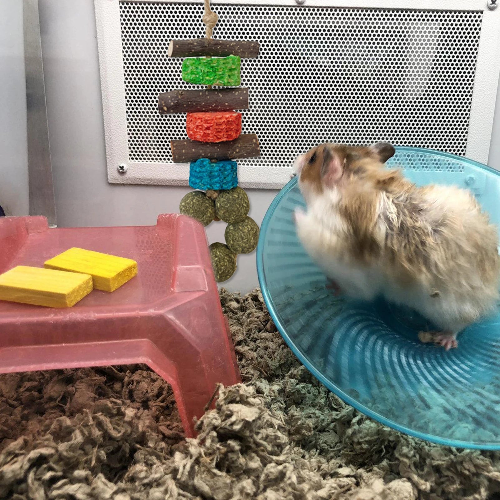 Wooden Chew Set for Guinea Pigs and Rabbits for guinea pigs, rabbits, hamsters, and chinchillas from Burrowly small pet supplies.
