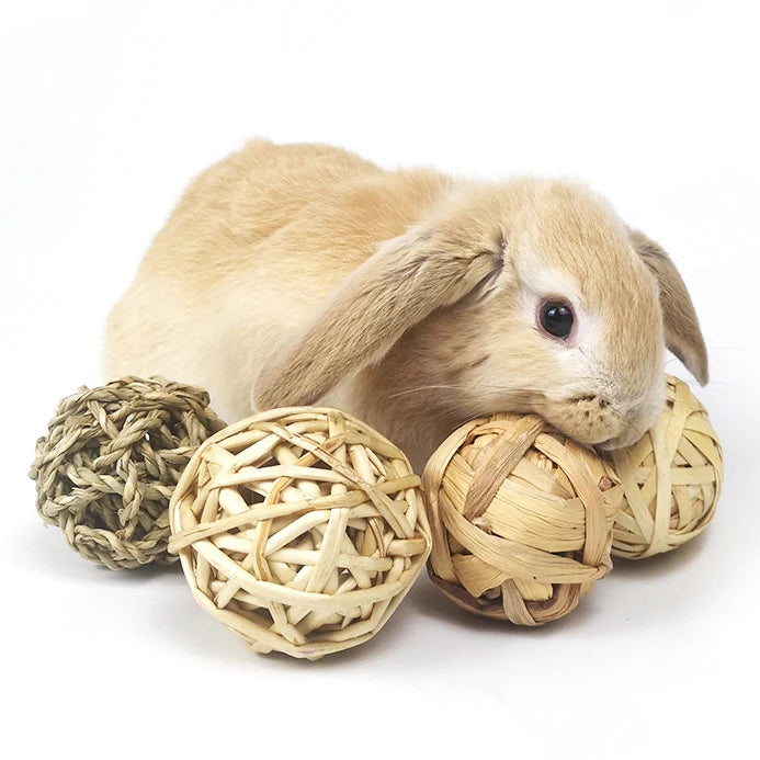 Natural Grass Weaving Chew Ball for rabbits, guinea pigs, hamsters, and chinchillas from Burrowly small pet supplies.