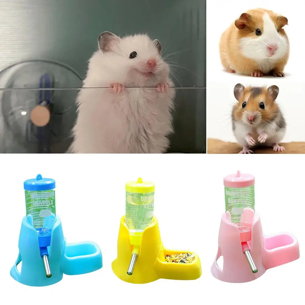 Leak-Proof Water Bottle with Food Bowl