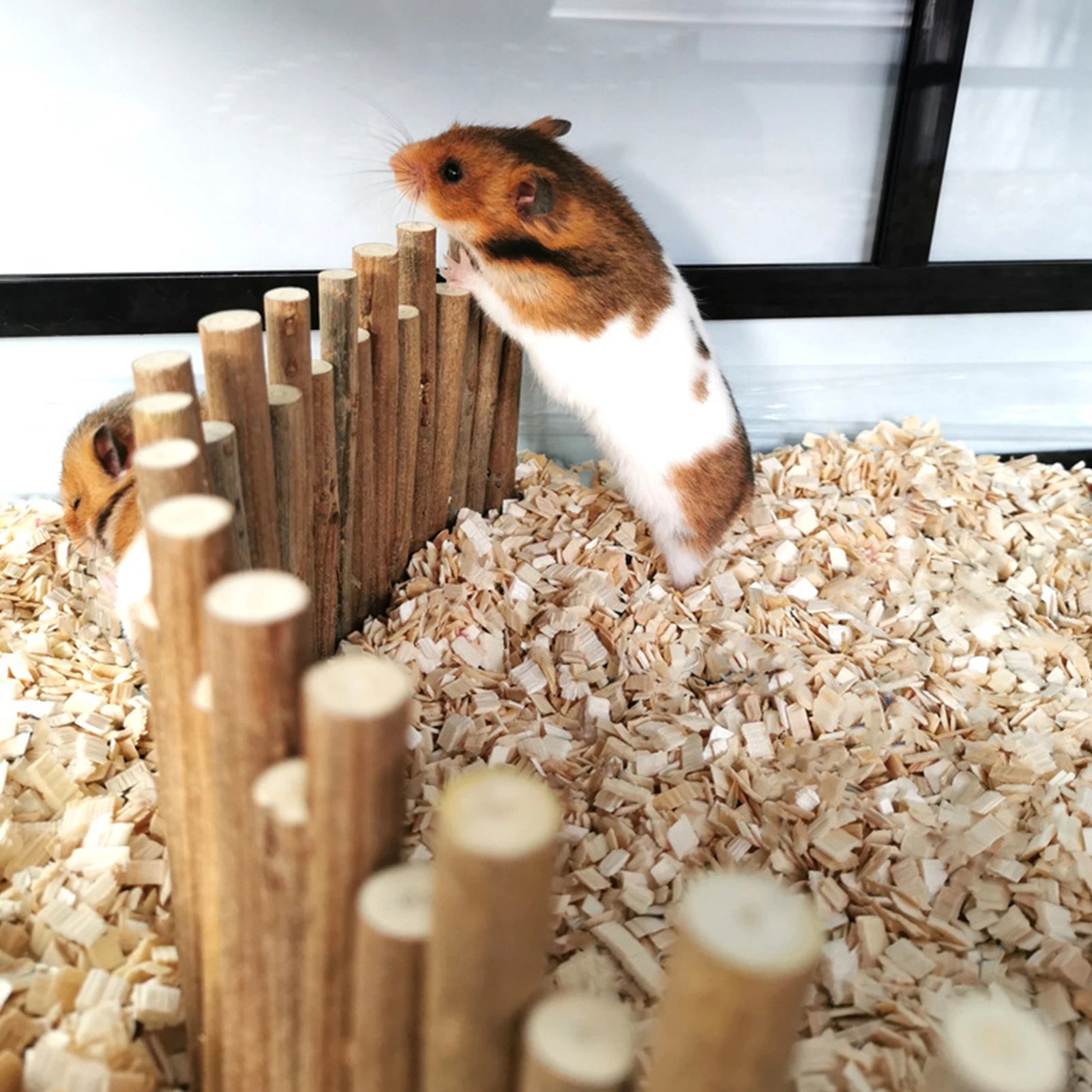 Hamster Wooden Fence Rat Ladder Bridge Wood Ladder Natural Hideout for