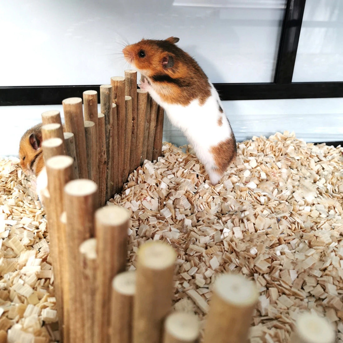 Hamster Wooden Fence Rat Ladder Bridge Wood Ladder Natural Hideout for