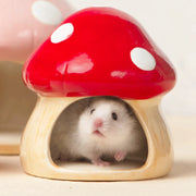 Ceramic Mushroom Hideout for Hamsters for hamsters, mice, and gerbils from Burrowly small pet supplies.