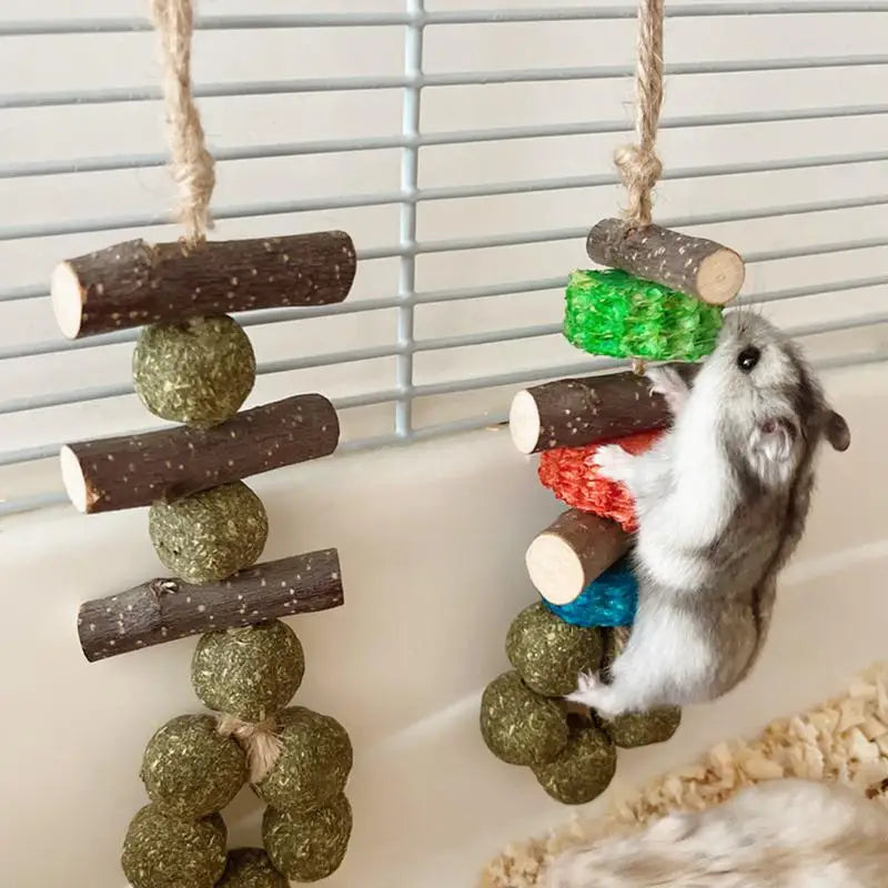 Wooden Chew Set for Guinea Pigs and Rabbits for guinea pigs, rabbits, hamsters, and chinchillas from Burrowly small pet supplies.