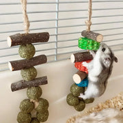 Wooden Chew Set for Guinea Pigs and Rabbits for guinea pigs, rabbits, hamsters, and chinchillas from Burrowly small pet supplies.