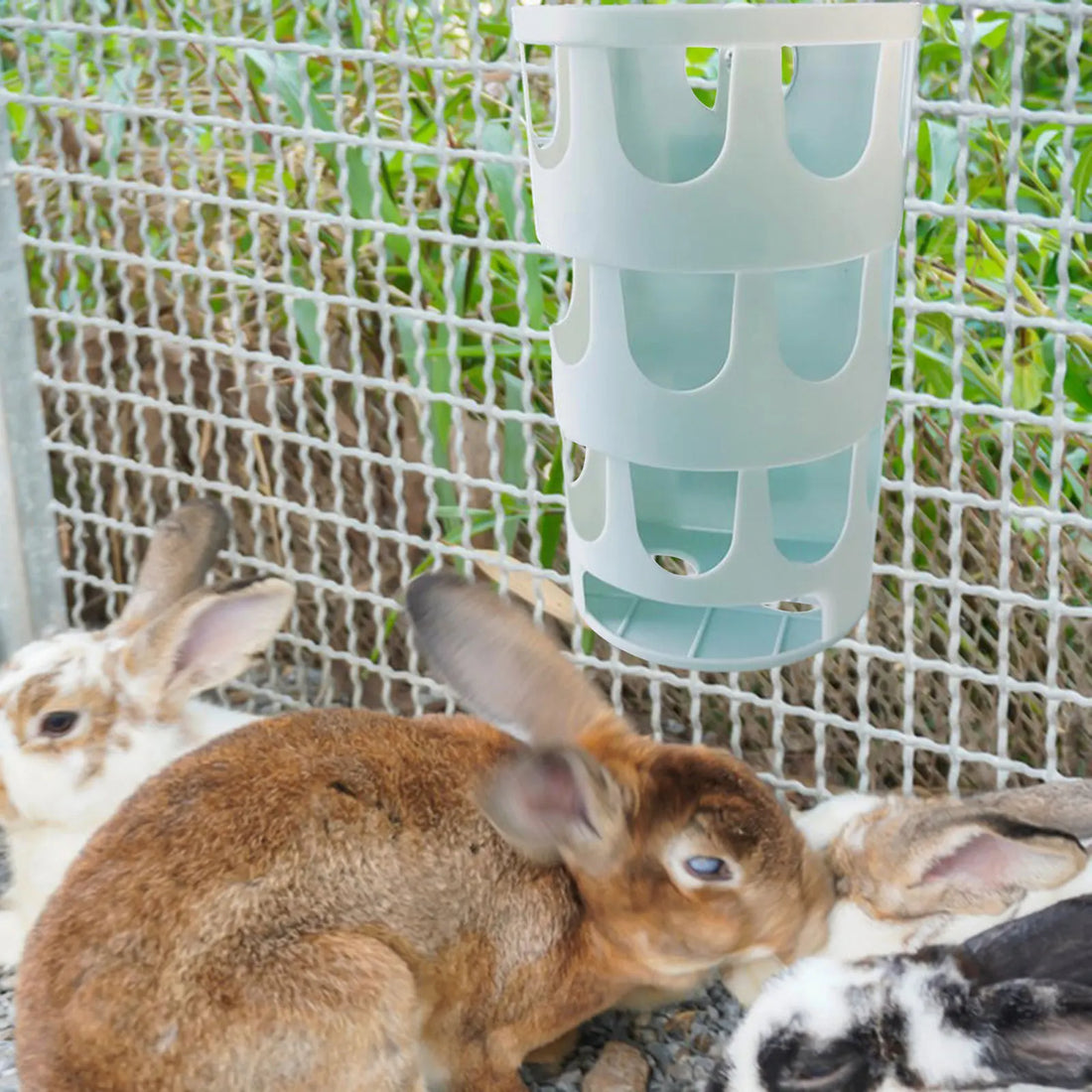 Rabbit Hay Feeder Cage Pet Feeding Bowl Small Animal Food Dispenser for