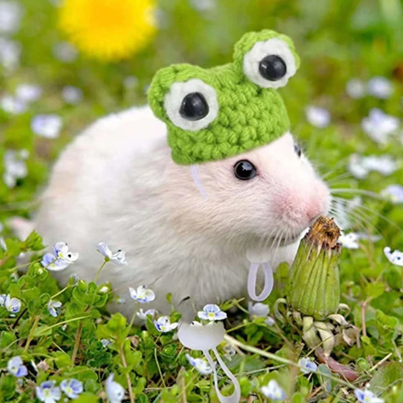 Spot Hamster Golden Bear Hat Hamster Clothes Pet Headwear Hat Honey Bag Flower Branch Dutch Pig Bag Set
