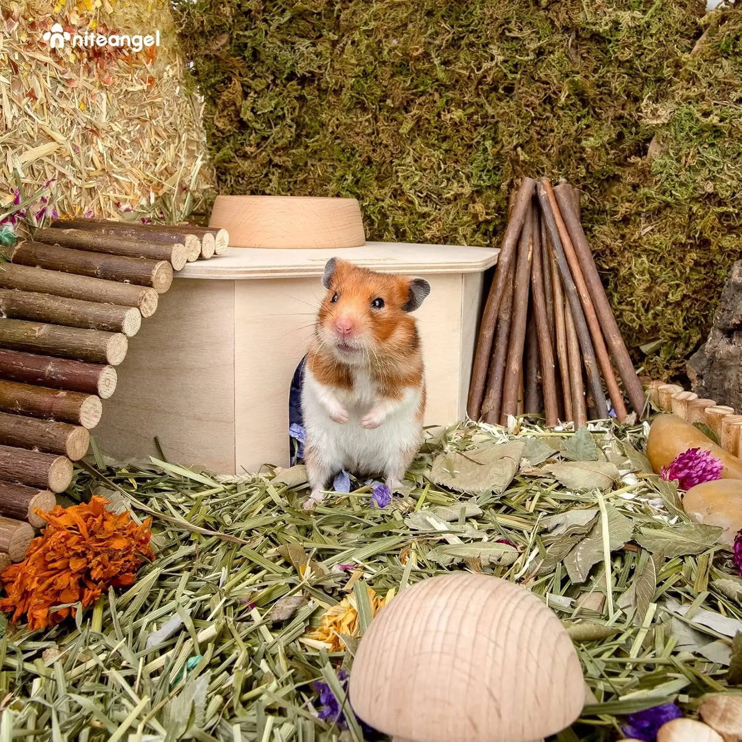 Birch Chamber-Maze Hamster Hideout - Woodland House Habitat for Hamsters, Mice, Gerbils