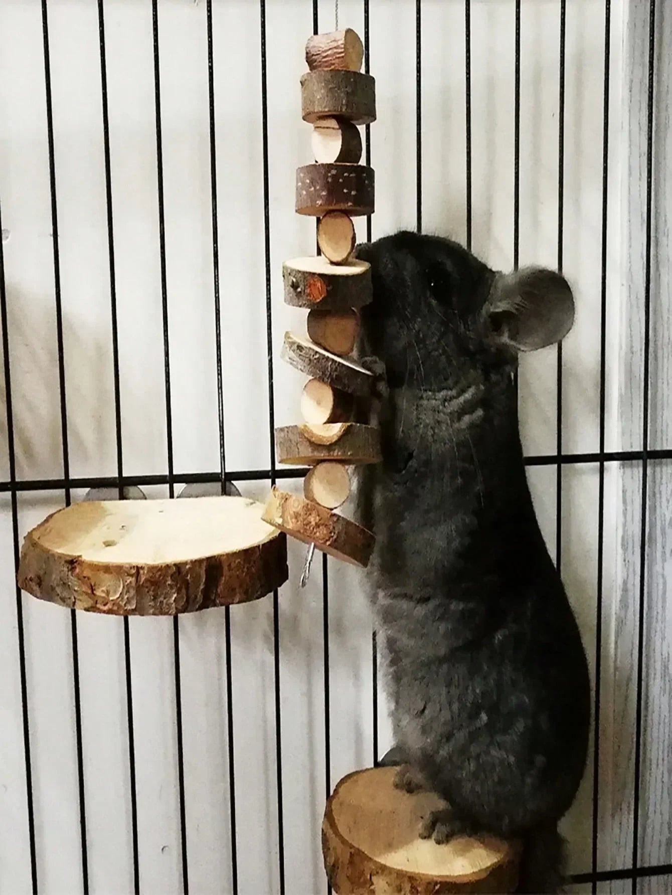Hamster Rabbit Chew Toy Natural Wood Sticks for Small Pet Chinchilla
