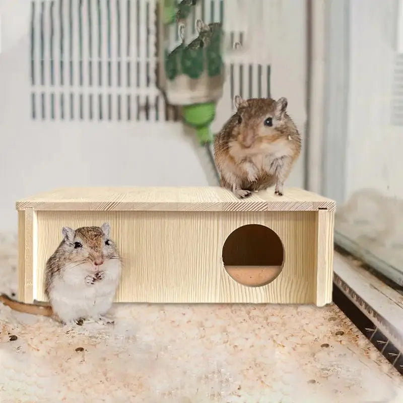 Multi-chamber Hamster House Maze Rectangle 2-chamber Hamster Hideout Cozy