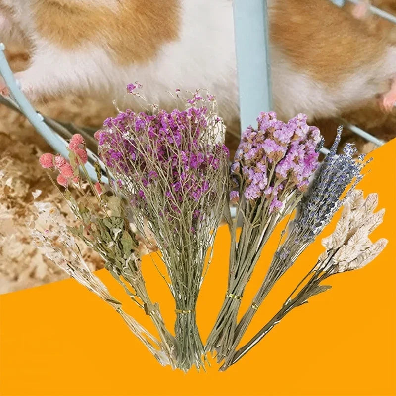 Handcrafted Hamster Cage Decors Dried Flower Bedding Promotes Natural Foraging Behavior Y5GB