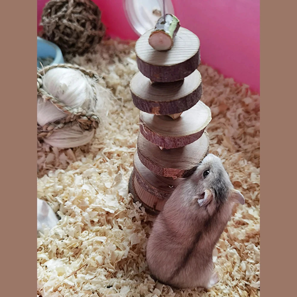 Cute Rabbit Roller Toys Natural Wooden Pine Dumbells Unicycle Bell Chew
