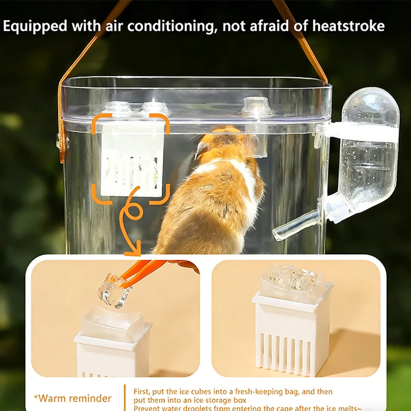 New Hamster Outdoor Carrier Cage PortableHamster Cage Transparent Large Hamster BiroCage Pet Supplies Outdoor Bird Accessories
