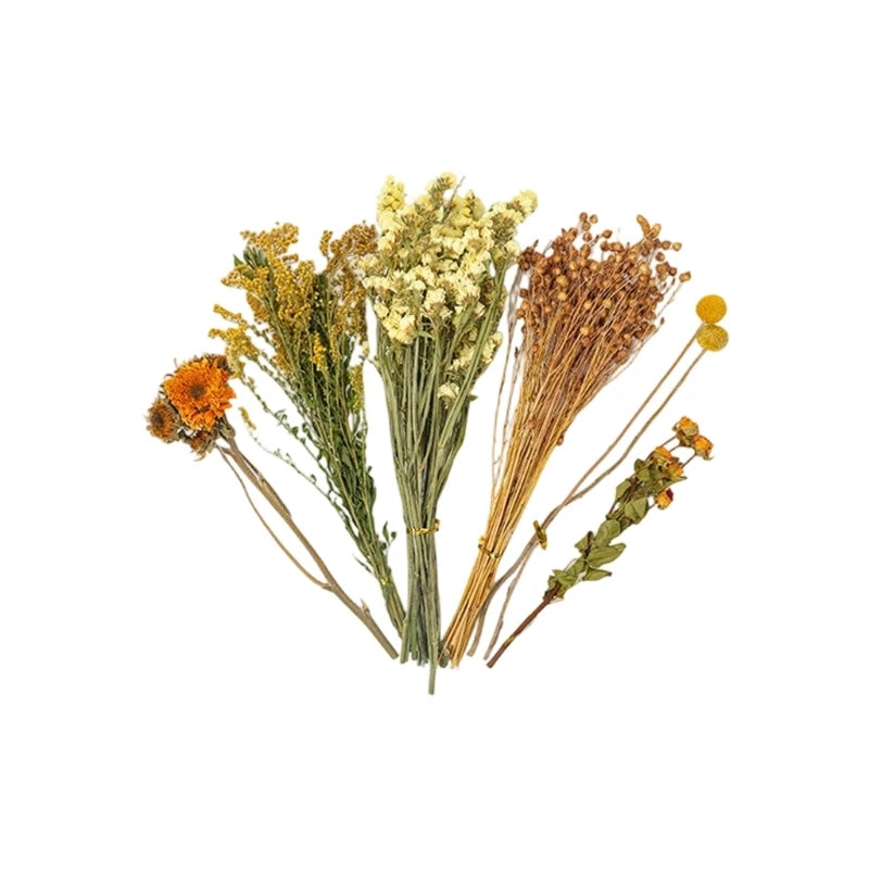 Handcrafted Hamster Cage Decors Dried Flower Bedding Promotes Natural Foraging Behavior Y5GB