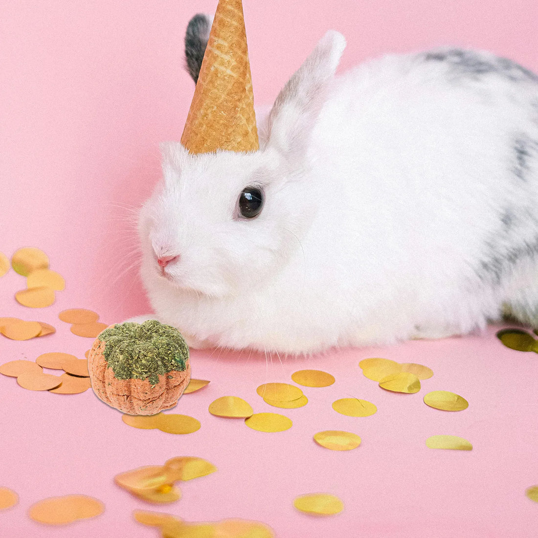 Rabbit Chew Snacks Small Animal Teeth Health Molar Snack Cage Accessories Hamster Guinea Pig Chinchilla Gerbil Entertainment
