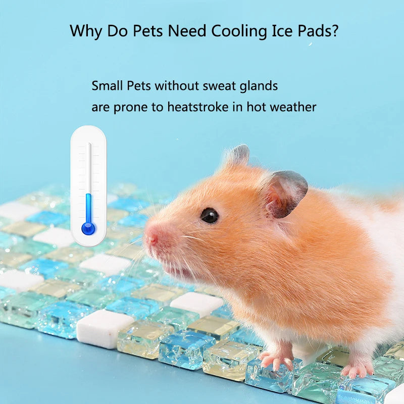 Natural Crystal Cooling Pad for Small Pets for hamsters, guinea pigs, and chinchillas from Burrowly small pet supplies.