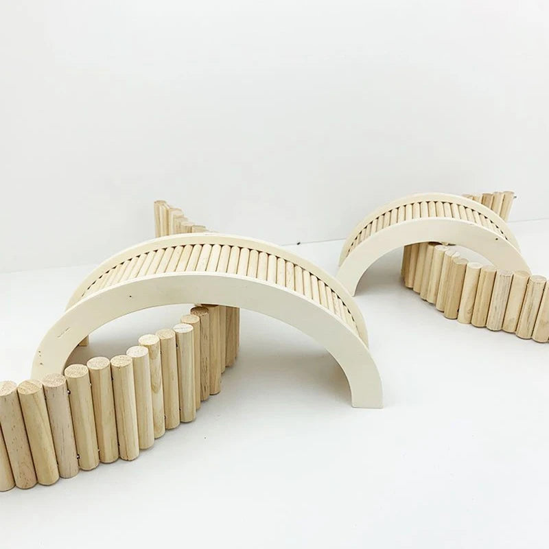 Flexible wooden bridge ladder for small pet habitat enrichment from Burrowly.