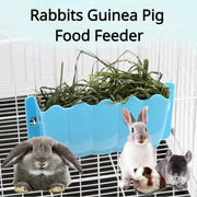 Hanging Hay and Food Feeder for Rabbits Bowls & Bottles for Burrowly bowls & bottles and small pet care.